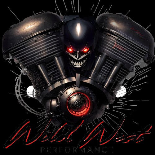Wild West Performance